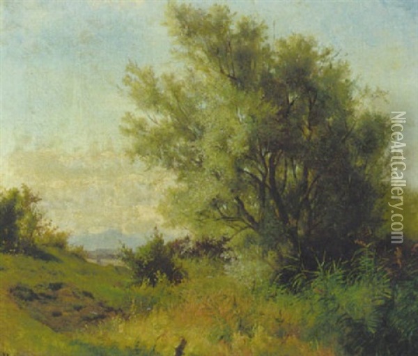 Landschaft Mit Weide, Schilf Und Wiesen Im Voralpenland Oil Painting - Ludwig Hartmann