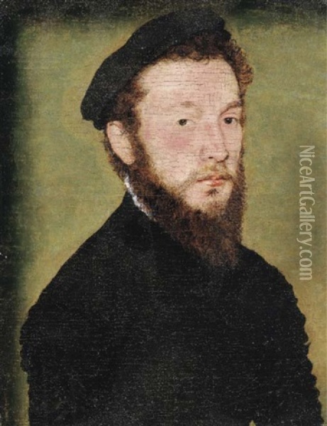 Portrait Of A Bearded Man, Half-length, In A Black Costume Oil Painting -  Corneille de Lyon