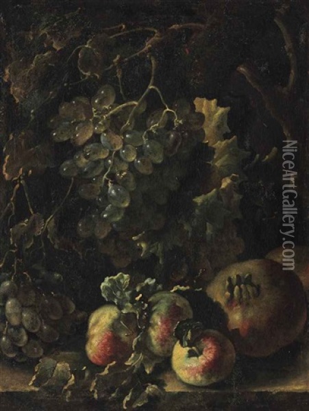 Grapes And Pomegranates On A Ledge Oil Painting - Bartolomeo Castelli the Elder