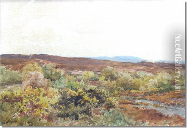 Moorland Landscapes Oil Painting - Claude Hayes