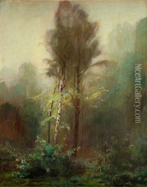 Landscape From Milanowek Oil Painting - Piotr Hipolit Krasnodebski