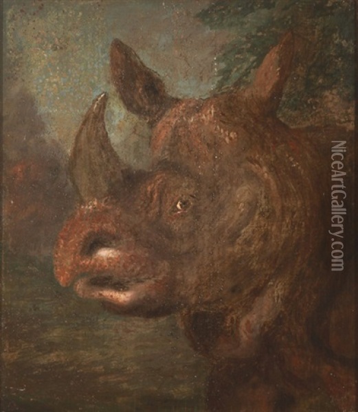 Rhinoceros Oil Painting - William Huggins