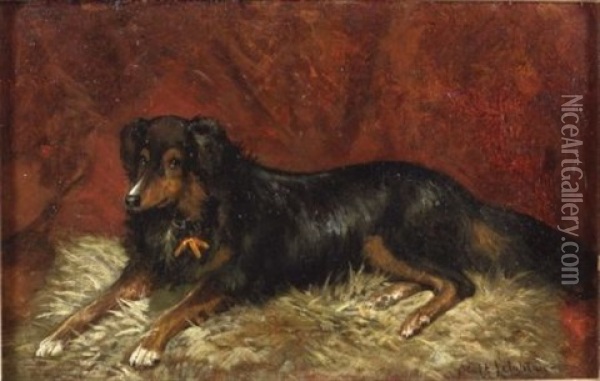 Carlo/a Portrait Of A Seated Dog Oil Painting - Scott Leighton