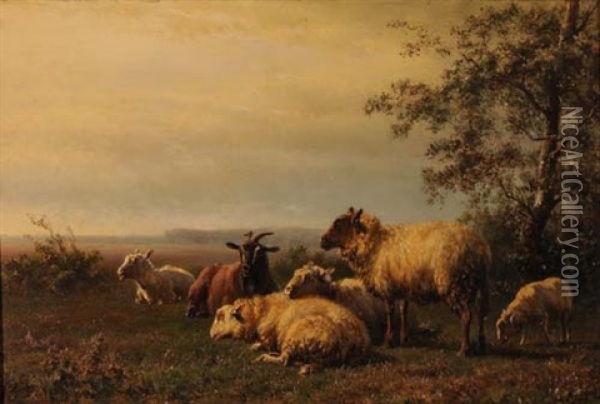 Weidende Schafe Und Ziegenbock Oil Painting - Jan Bedijs Tom
