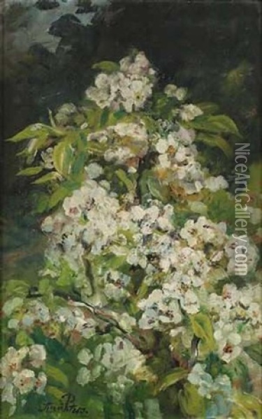 Kirschblutenzweig Oil Painting - Anna Peters