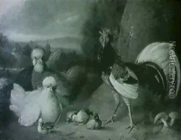 Chickens And Other Birds In An Extensive Landscape Oil Painting - Jakob Bogdani