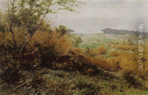Deer In A Field Oil Painting - Christian (Johann Christian) Kroener