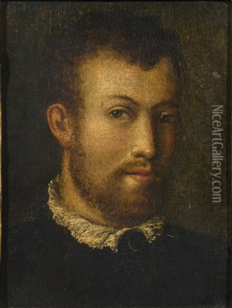 Bildnis Eines Mannes Oil Painting - Lavinia Fontana