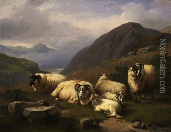 Schafe Im Schottischen Hochland Oil Painting - Daniel-Adolphe-Robert Jones