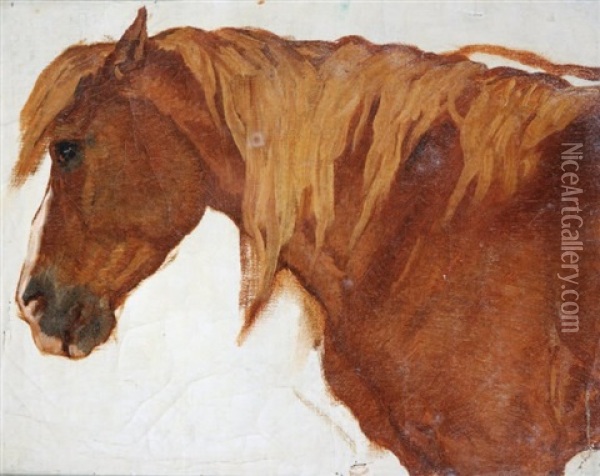 Portrait De Cheval Oil Painting - Theodore Valerio