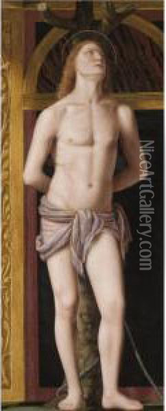 Saint Sebastian Oil Painting - Bernardino Luini