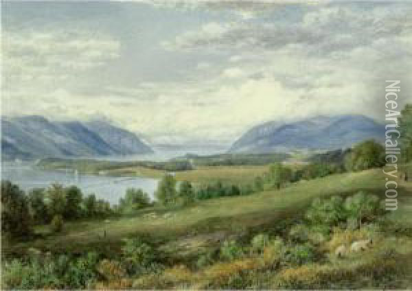 The Hudson River From Cold Spring Oil Painting - John William Hill