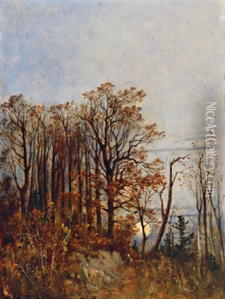 Herbstmotiv, N.osterreich Oil Painting - Theodor von Hoermann