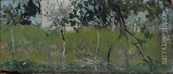 Piccolo Paesaggio Oil Painting - Raffaelo Sorbi