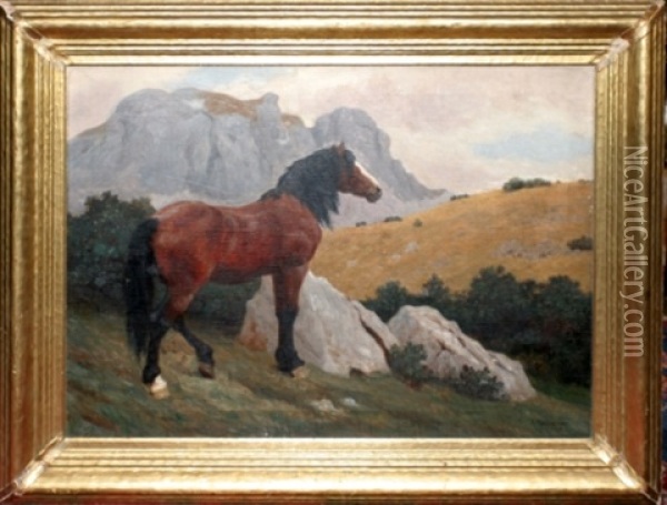 Wild Stallion In The Mountains Oil Painting - Albert Reibmayer