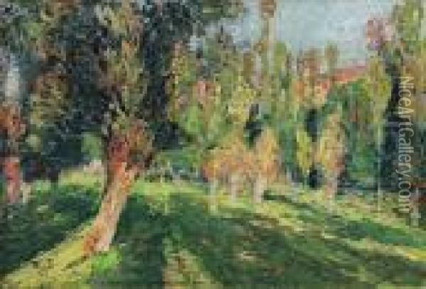 Saules Et Peupliers Dans Une Prairie Oil Painting - Henri Martin