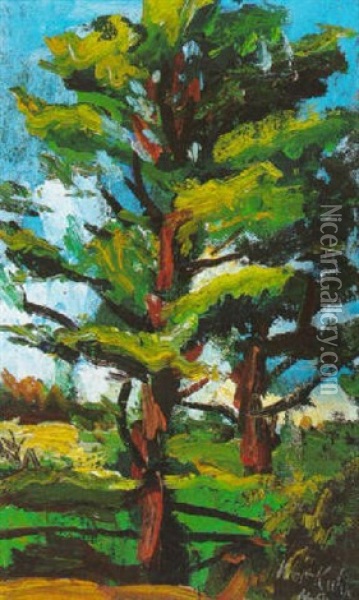 Trees In Maine, 1948 Oil Painting - Walt Kuhn