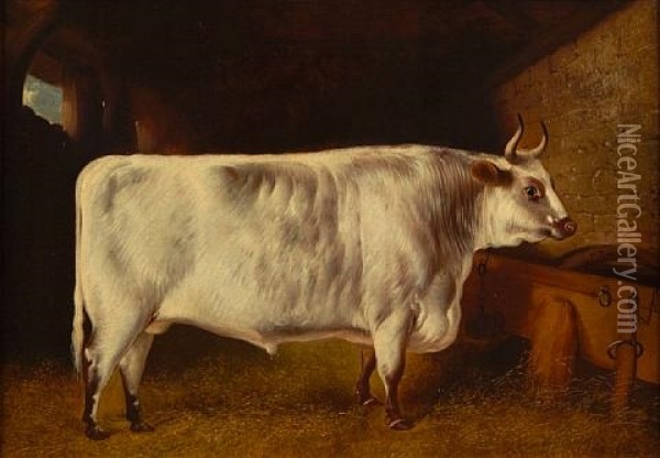 A Prize Bull In A Stable (+ A Prize Bull In A Stall; 2 Works) Oil Painting - Henry Barraud