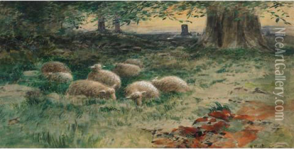 Sheep Grazing In A Field Oil Painting - Marmaduke Matthews