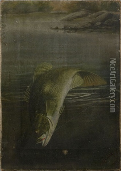 Fish Portrait Oil Painting - Harry Driscole