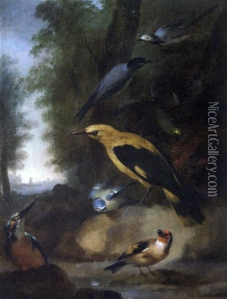 Oiseaux Dans Un Paysage Oil Painting - Aert Schouman