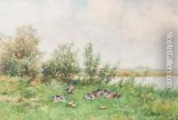Ducks And Ducklings By The Waterside Oil Painting - David Adolf Constant Artz