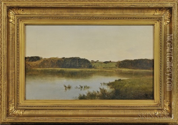 Pond In Newpt Oil Painting - John Frederick Kensett