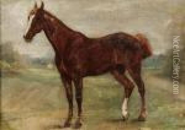 Cavallo
Cavallo Oil Painting - George Paice