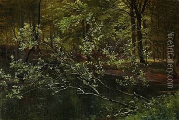 Forest Scene Oil Painting - Carl Frederik Peder Aagaard