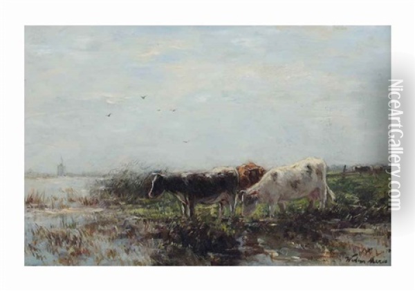 Cows On The River Bank Oil Painting - Willem Maris