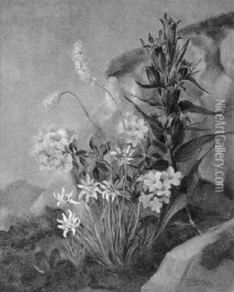 Alpenblumen Oil Painting - Joseph Schuster