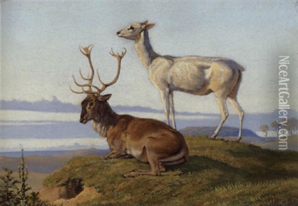 En Liggende Hjort Og En Staaende Hind Oil Painting - Johan Thomas Lundbye