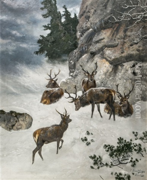 Hirsche In Winterlandschaft Oil Painting - Josef Schmitzberger