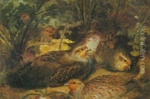 Partridges In A Field Of Beet Oil Painting - Josef Wolf