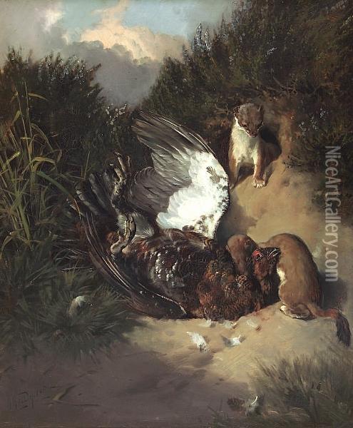 Stoat And Grouse Oil Painting - William Arnold Woodhouse