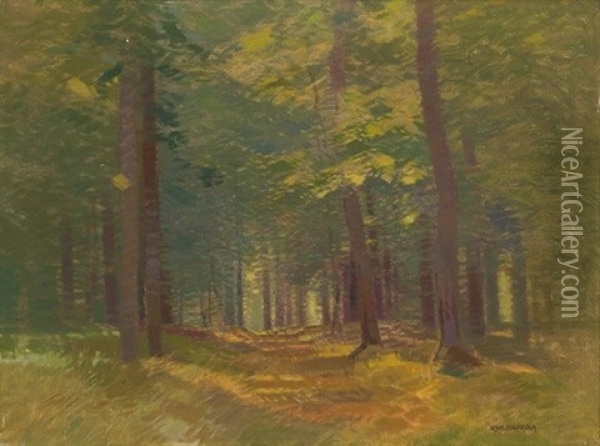 Interior Of The Forest Oil Painting - Roman Havelka