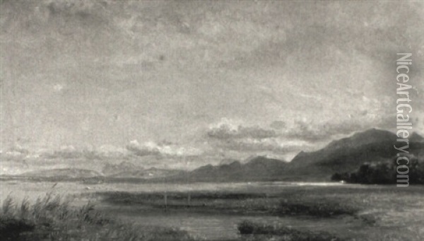 Ansicht Des Chiemsees Oil Painting - Carl Robert Kummer