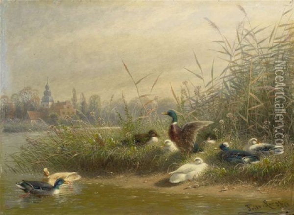 Wildenten Am Ufer Oil Painting - Fritz Lange