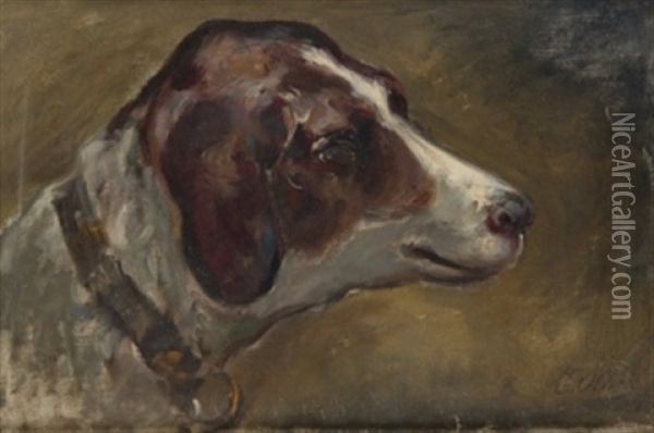 Cabeza De Perro Oil Painting - Eugenio Oliva Rodrigo