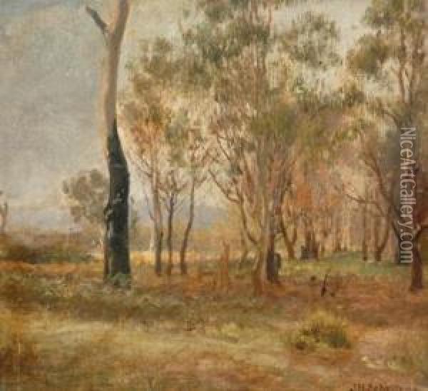 A Corner Of Bush Oil Painting - Jan Hendrik Scheltema