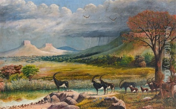 South African Wildlife, Three Oil Painting - Frederick Hugh Barber