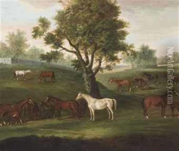 Brood Mares And Foals Grazing Oil Painting - Francis Sartorius the Elder