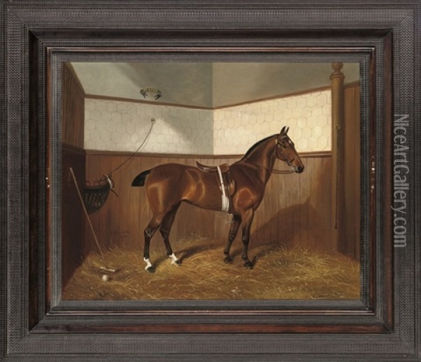 The Polo Pony "jessie" With Stick And Ball Oil Painting - Benjamin Cam Norton