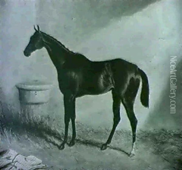 A Bay Hunter In A Stable Oil Painting - Harry Hall