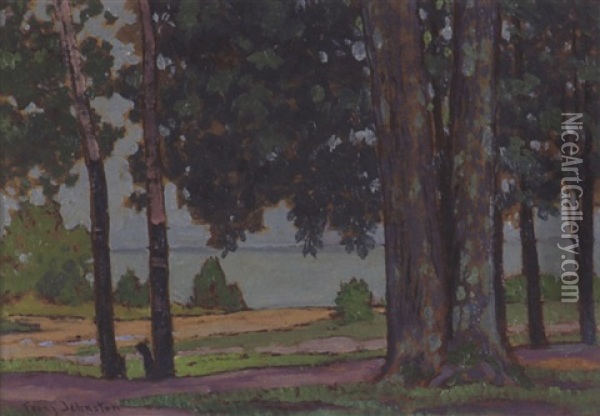 View Of Lake Through The Trees Oil Painting - Francis Hans Johnston