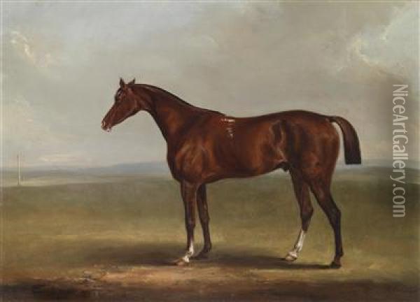 Bay Horse In A Landscape Oil Painting - Henry William Banks Davis, R.A.