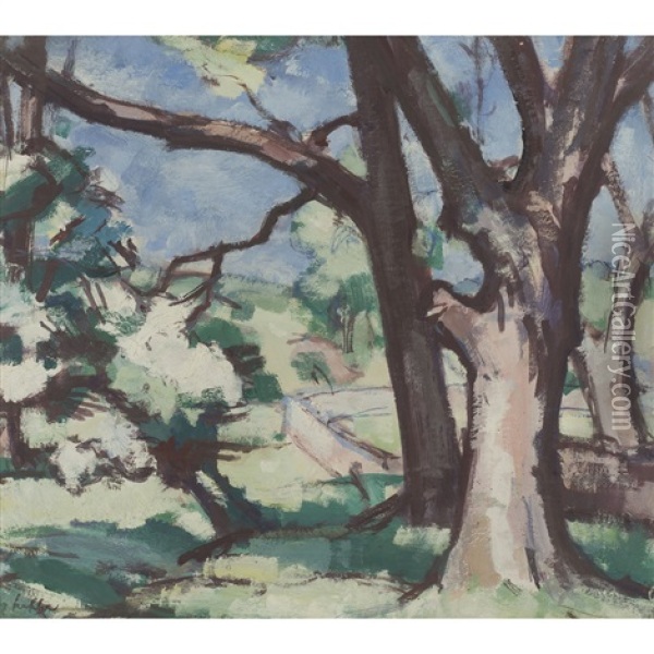 Tree Study Cassis Oil Painting - Samuel John Peploe