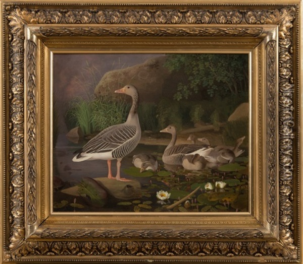 Greylag Geese With Chicks Oil Painting - Ferdinand von Wright