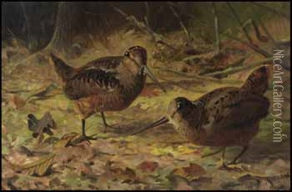 Woodcock In The Forest Oil Painting - Thomas Mower Martin