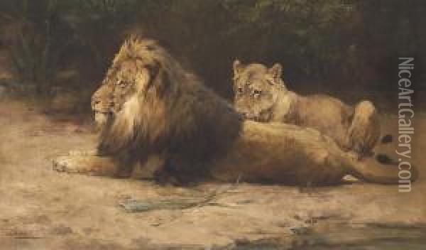 Lion And Lioness At Rest Oil Painting - George Denholm Armour